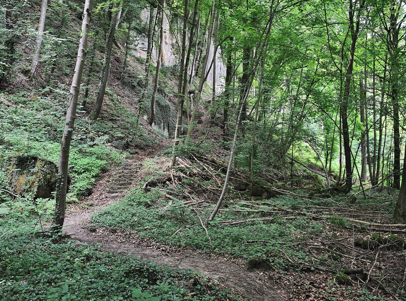 Luxembourg Rezones Bereldange: Overlooked Suburb Poised for Major Transformation