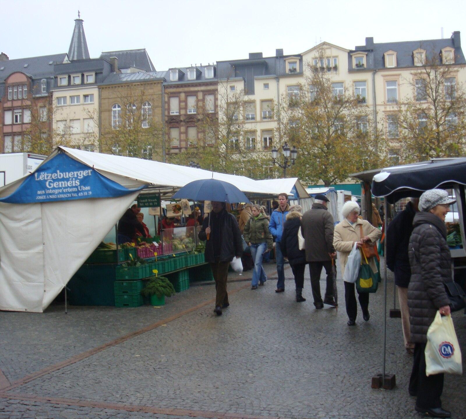 Luxembourg Locals Reveal Secret Nature Walks Tourists Never Discover